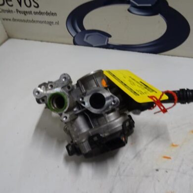 Peugeot 208  EGR valve BHW 2015 9833095880