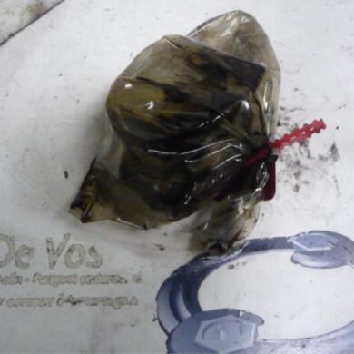 Peugeot 406  Brake servo vacuum pump 4HX 2000 456564