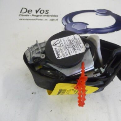 Peugeot 207  Gurtsrammer rechts 2010 8975CA