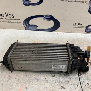 Citroen DS3  Intercooler HNZ 2015 9803900780