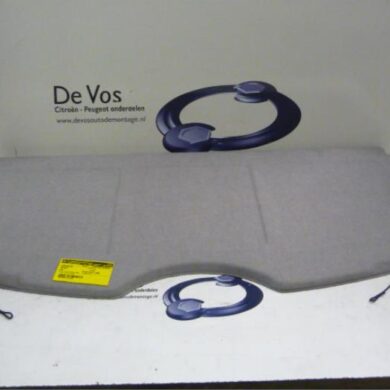 Peugeot 207  Parcel shelf 2006 8794RY