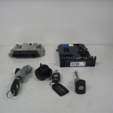 Citroen C3 Picasso 1.6 HDi 16V 90 Computer Motormanagement 9HX-9HX9H02 2009 1943S4-1943S5