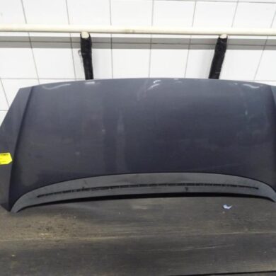 Peugeot 1007 1.4 Bonnet 2006 7901K9-7901Q5