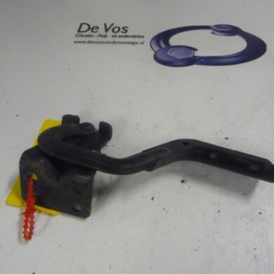 Peugeot 4007  Tailgate hinge 2008 8613E7