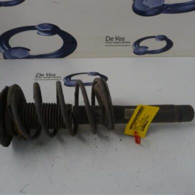 Peugeot 206 PLUS 1.4 XS Schokdemperpoot links-voor 2009 5202LV