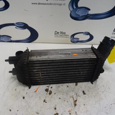 Citroen DS5  Intercooler RHH-RHHRH02 2012 0384P8