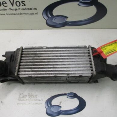 Citroen C5  Intercooler 9HZ 2006 0384G6