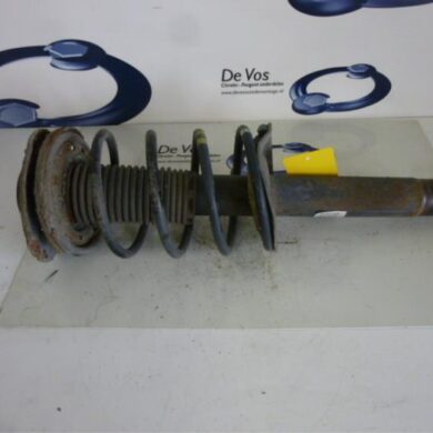 Peugeot 206 PLUS 1.1 XR,XS Schokdemperpoot links-voor 2009 5202LV