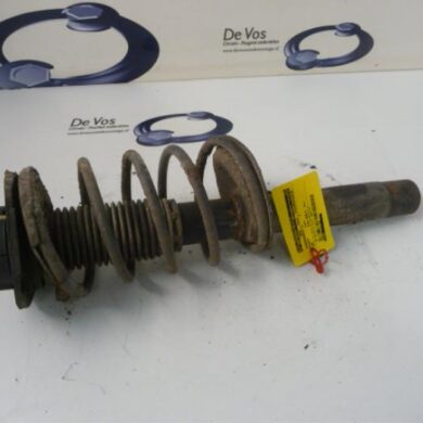 Peugeot 206 1.6 16V Front shock absorber rod, right 2006 5202NE