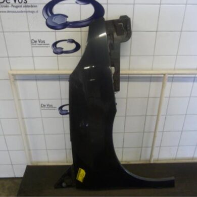 Peugeot 807 3.0 V6 24V Scherm rechts-voor 2003 7841P0