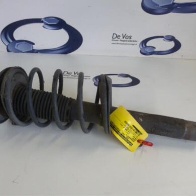 Peugeot 206 PLUS 1.4 XS Front shock absorber rod, right 2009 5202LW