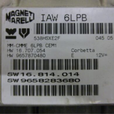 Citroen C4 2.0 16V Computer Motormanagement RFJ 2005 1939JE-1943E0-1943E1