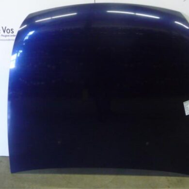 Peugeot 607 2.2 HDi 16V FAP Motorhaube 2001 7901L2