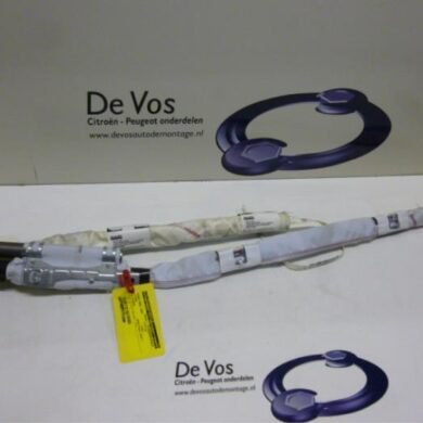 Citroen C3 Picasso 1.6 HDi 90 Hemel Airbag 2010 8335WK