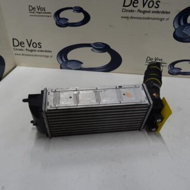Peugeot 5008  Intercooler BHZ-BHZBH01 2016 9800291280