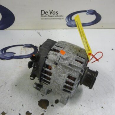 Citroen Berlingo  Dynamo 9HN-9HN9H06 2013 9678048880-1606859180