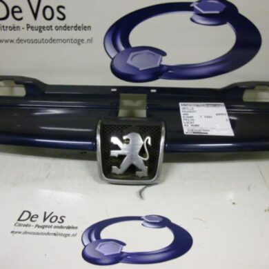 Peugeot 406 1.8 16V Grille 1997 7804F6