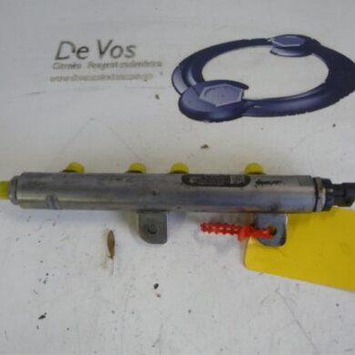 Citroen C5  Fuel injector nozzle X8Z 2011 1570Q6