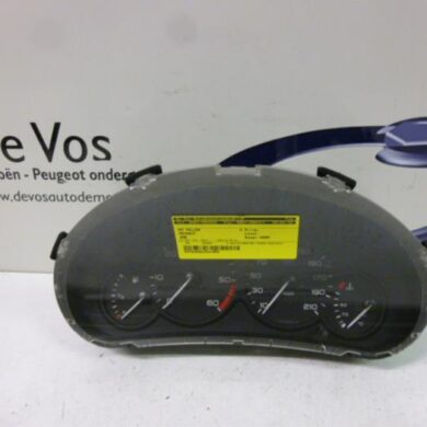 Peugeot 206  Odometer KM 2000
