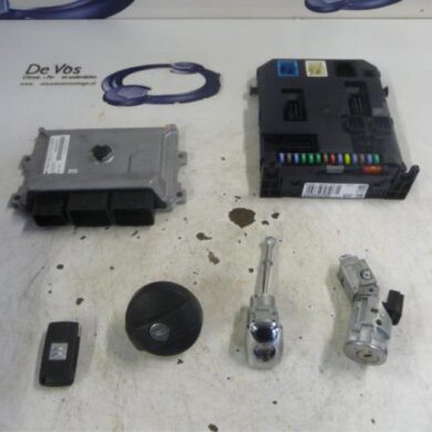 Citroen C3  Computer Motormanagement ZMZ-ZMZZM01 2014 1608817280