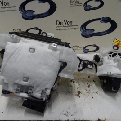 Citroen C4 Picasso  Kachelhuis 2016 1609707680-9822121180