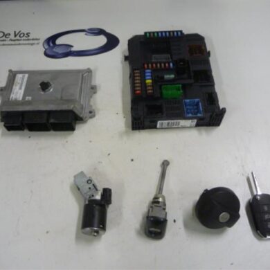 Peugeot 208  Engine management computer HMZHM01 2015 1613248880