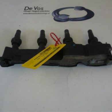 Peugeot 307  Bobine NFU 2004 597099