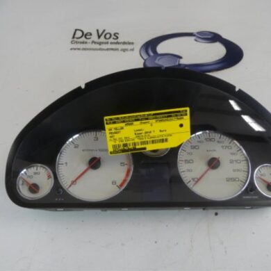 Peugeot 407  Odometer KM 2010 610395-610396