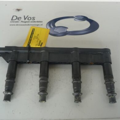 Peugeot 206  Bobine 2004 597085