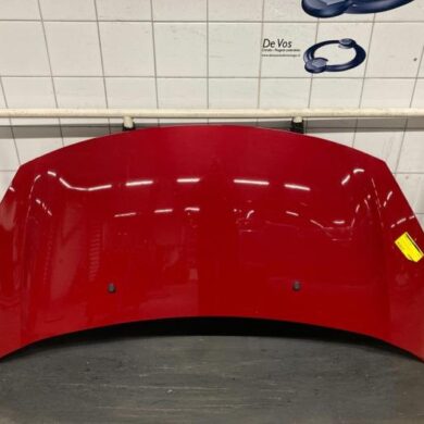 Citroen DS3  Bonnet 2013 7901R1