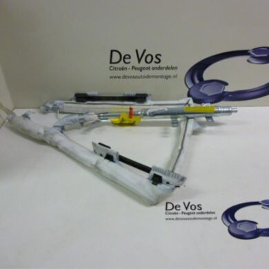 Peugeot 307  Hemel Airbag 2003 8829ZH