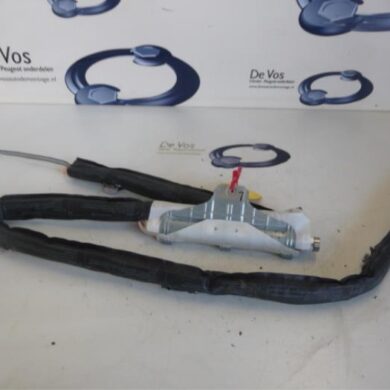 Peugeot 5008  Hemel Airbag 2010 833752