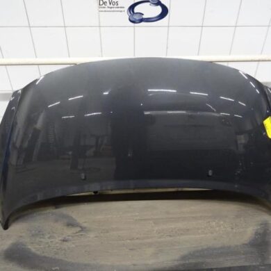 Peugeot 207  Bonnet 2010 7901N2