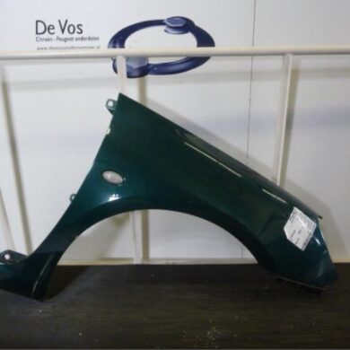 Peugeot 307 1.6 16V Scherm rechts-voor 2002 7841N7