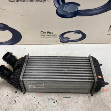 Citroen DS3 1.2 12V PureTech 110 S&S Intercooler HNZ 2015 9803900780
