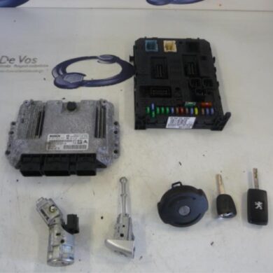 Peugeot Partner  Engine management computer 9HX-9HX9H02 2010 194321-194322