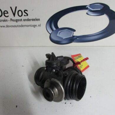 Citroen Berlingo  Gasklephuis 2002