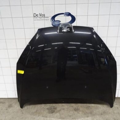Peugeot 407  Bonnet 2007 7901L6