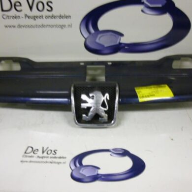 Peugeot 406 1.8 SR,SRX Grille 1998 7804F6