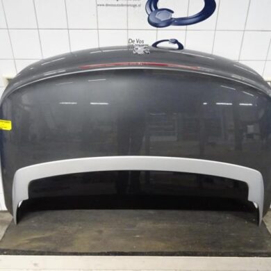 Peugeot 207  Tailgate 2008 860687-9800118280