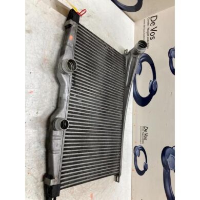 Citroen C6 3.0 HDiF V6 24V Intercooler X8Z 2011 0384N5