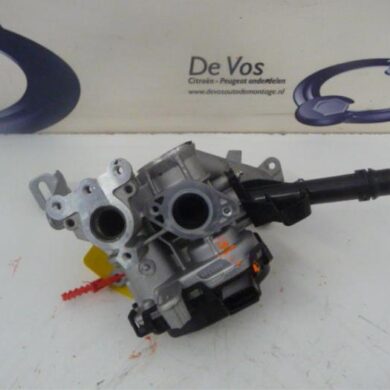 Citroen C3 Picasso  EGR Klep BHYBH02 2016 9807369980