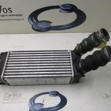 Citroen C4 Picasso 1.6 HDi 16V 110 Intercooler 9HZ-9HZ9H01-9H01 2010 0384L4