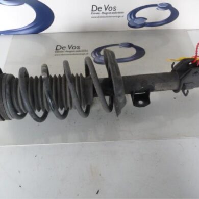 Citroen Nemo 1.3 HDi 75 Schokdemperpoot rechts-voor 2014 1609617080