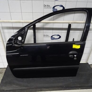 Peugeot 206 1.4 XR,XS,XT,Gentry Door 4-door, front left 2002 9002K5