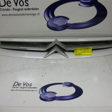 Citroen Picasso 1.8 16V Grille 2000 7804J7