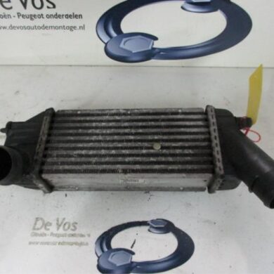 Citroen Xsara 2.0 HDi 110 Intercooler RHZ 2001 0384F6