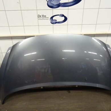 Peugeot 207  Bonnet 2007 7901N2