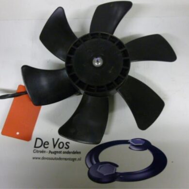 Citroen C-Crosser  Fan motor 2009 1253R1