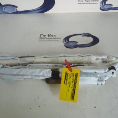 Citroen C3 Picasso 1.6 HDI 16V 110 Hemel Airbag 2009 8335WJ